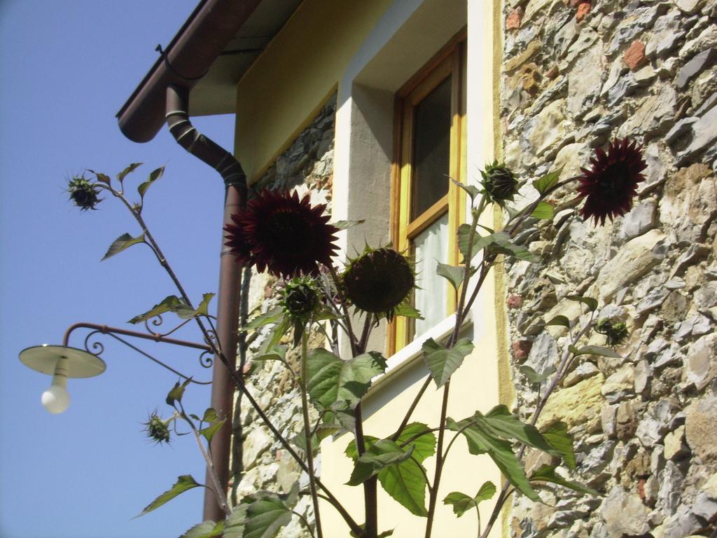 Il Girasole Bed & Breakfast Фосдиново Екстериор снимка